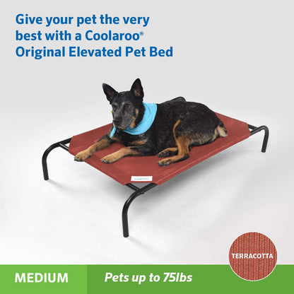 the Original Cooling Elevated Dog Bed, Indoor and Outdoor, Medium, Terracotta